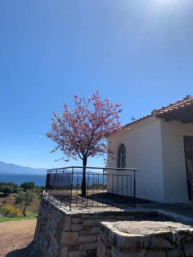 Villa Delfini Chrani Ngoại thất bức ảnh